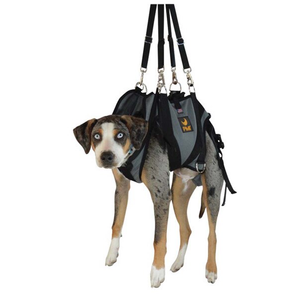 PMI AnExK Harness vertical rai 02